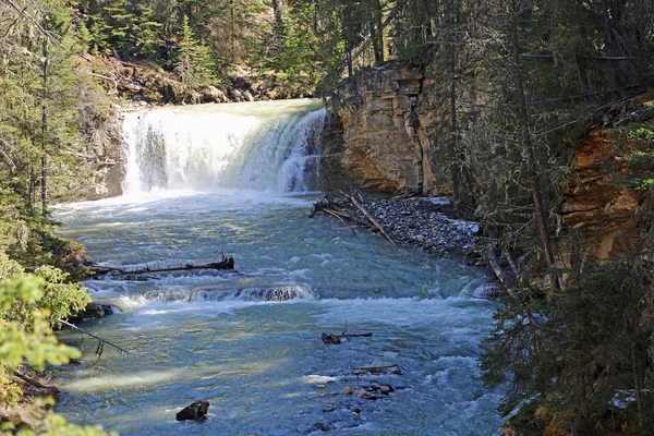 Vízesés Johnston Canyon Banff National Park Kanada — Stock Fotó