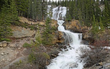 Tangle Creek Şelalesi - Jasper Ulusal Parkı, Alberta, Kanada