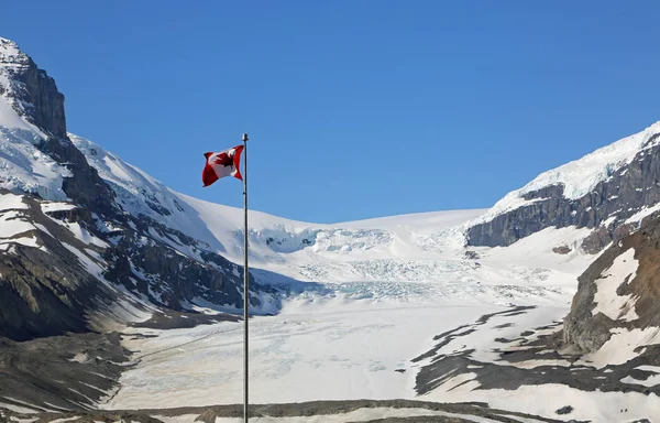 Kanada bayrağı ve Athabasca Buzulu - Columbia Icefield, Jasper Ulusal Parkı, Alberta, Kanada