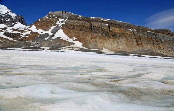 Athabasca Glacier Valley Columbia Icefield Jasper National Park Alberta Canadá — Fotografia de Stock