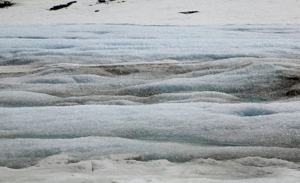 Επιφάνεια Του Παγετώνα Κολούμπια Icefield Εθνικό Πάρκο Τζάσπερ Αλμπέρτα Καναδάς — Φωτογραφία Αρχείου