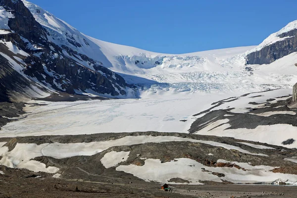 Пейзаж Льодовик Атабаска Columbia Icefield Національний Парк Джаспер Альберта Канада — стокове фото