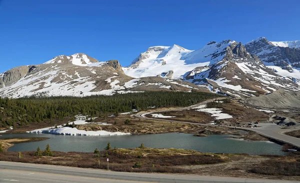 Τοπίο Όρος Athabasca Και Παρμπφιλντ Κολούμπια Icefield Εθνικό Πάρκο Τζάσπερ — Φωτογραφία Αρχείου