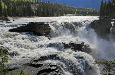 Athabasca Falls-Jasper Ulusal Parkı, Alberta, Kanada