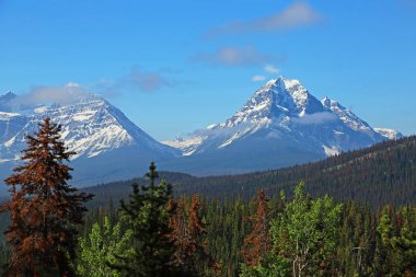 Athabasca Pass - Jasper Ulusal Parkı, Alberta, Kanada