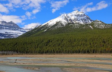 Sunwapta Nehri Vadisi - Jasper Ulusal Parkı, Alberta, Kanada