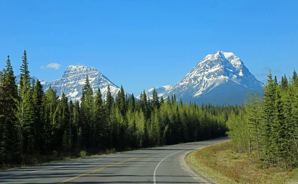 Vrchol Geraldine Silnice Jasper Národní Park Alberta Kanada — Stock fotografie