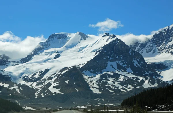 Mount Athabasca Uit Icefield Parkway Jasper National Park Alberta Canada — Stockfoto