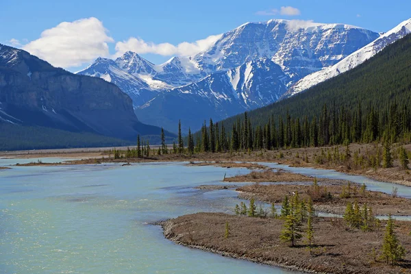 Landschap Sunwapta River Valley Jasper Nationaal Park Alberta Canada — Stockfoto