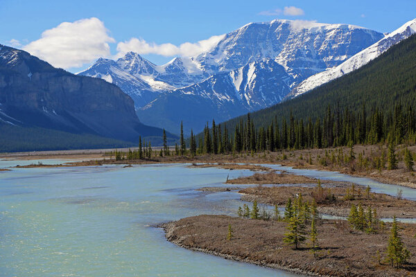 Landscape in Sunwapta River valley - Jasper National Park, Alberta, Canada