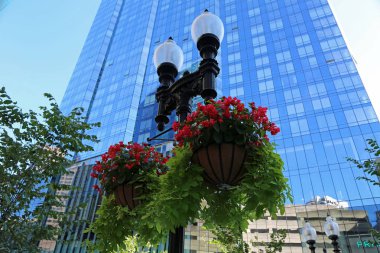 Sokak fener ve çiçekler - Boston, Massachusetts