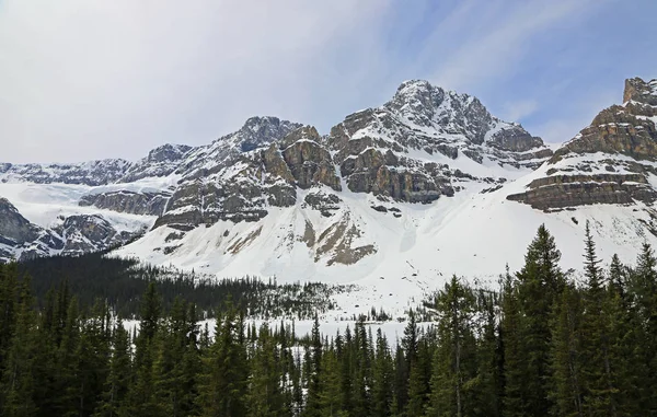 Crowfoot Mountain Banff National Park Alberta Canada — Stock Photo, Image