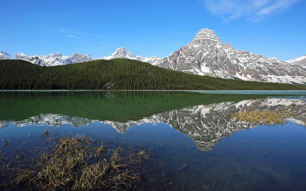 Reflection in Waterfowl Lake - Banff National Park, Alberta, Canada