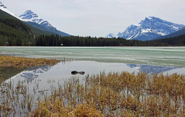 Paisagem Lago Waterfowl Parque Nacional Banff Alberta Canadá — Fotografia de Stock