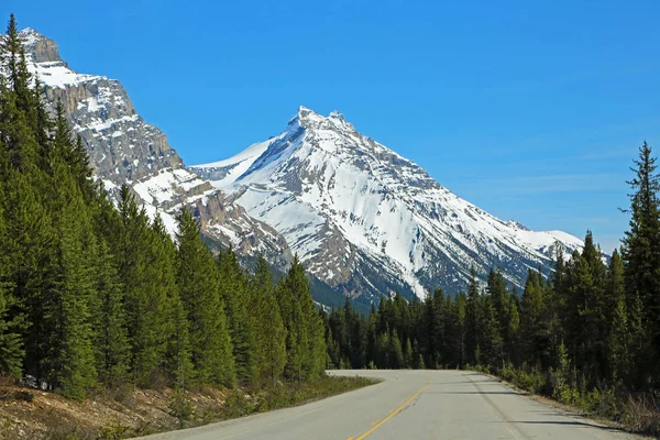 Icefield Parkway Banff National Park Alberta Kanada — Stock Fotó