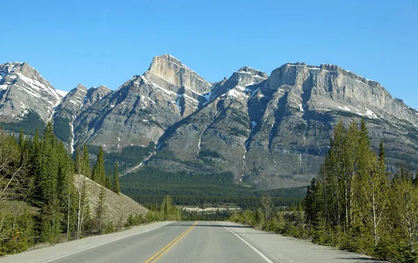Icefield Parkway Parco Nazionale Jasper Alberta Canada — Foto Stock