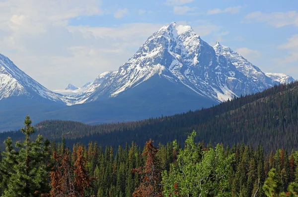 Geraldine Paek Jasper Nationalpark Alberta Kanada — Stockfoto