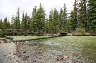 Athabasca Nehri üzerindeki köprü - Jasper Ulusal Parkı, Alberta, Kanada