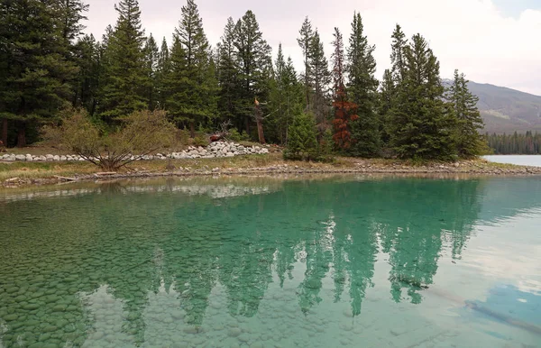 Annette Gölü Kıyısı Jasper Ulusal Parkı Alberta Kanada — Stok fotoğraf