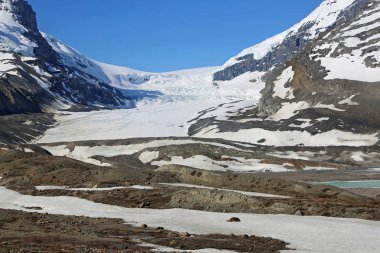 Peyzaj Athabasca buzul ile-Columbia Icefield, Jasper Ulusal Parkı, Alberta, Kanada