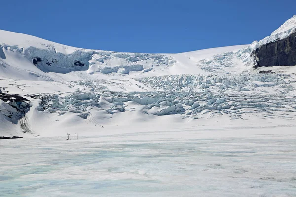 Sensor Glaciar Athabasca Columbia Icefield Jasper National Park Alberta Canadá — Fotografia de Stock