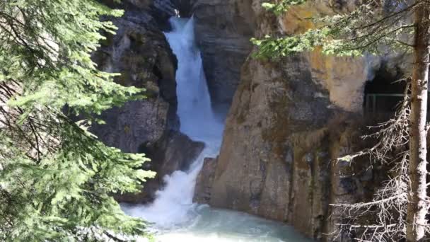 约翰斯顿峡谷的瀑布 班夫恩夫 阿尔伯塔省 加拿大 — 图库视频影像