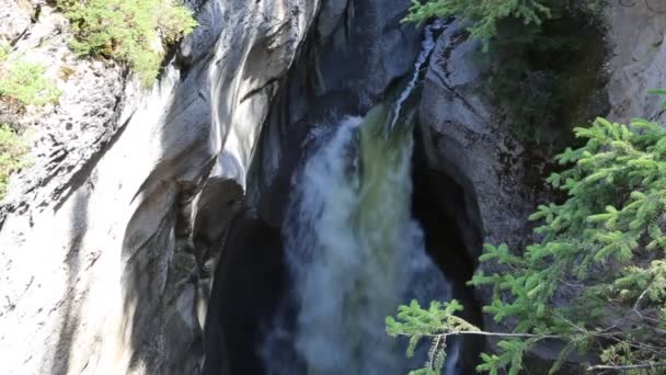 Maligne Canyon Vattenfall Jasper Alberta Kanada — Stockvideo