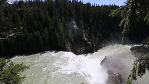 Stående Över Wapta Falls Kanada — Stockvideo