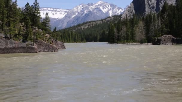 Bow River Banff Alberta Kanada — Stok video