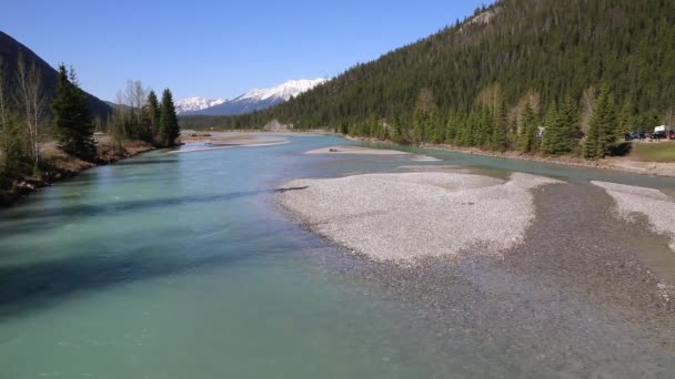 Kopající Koňská Řeka Terénu Yoho Britská Kolumbie Kanada — Stock video