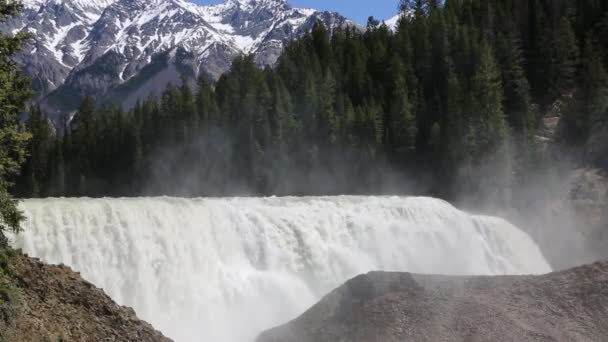 Wapta Falls Yoho Columbia Britannica Canada — Video Stock