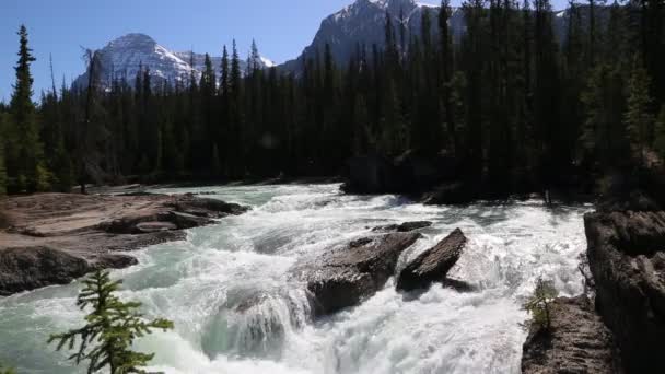 Natural Bridge British Columbia Kanada — Stok video