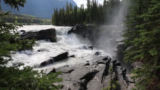 Tájkép Athabasca Falls Jasper Alberta Kanada — Stock videók