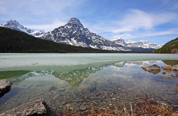 Chephren Jeziorze Ptactwa Wodnego Park Narodowy Banff Alberta Kanada — Zdjęcie stockowe