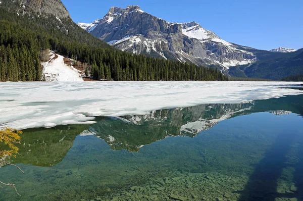 Kristálytiszta Víz Emerald Lake Yoho Nemzeti Park British Columbia Kanada — Stock Fotó