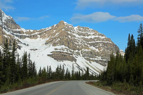 Cliffs Icefield Parkway Parque Nacional Banff Alberta Canadá — Foto de Stock
