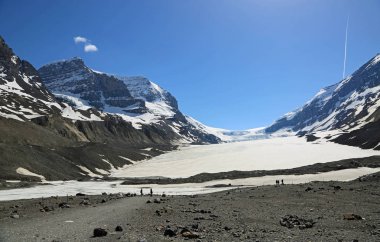 Trail athabasca buzul - Jasper Ulusal Parkı, Alberta, Kanada