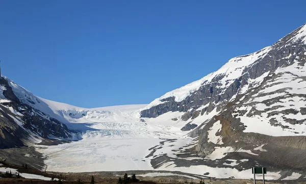 Utsikt Vid Athabasca Glacier Jasper Nationalpark Alberta Kanada — Stockfoto