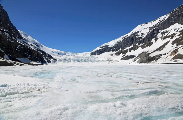 Driving Athabasca Glacier Jasper National Park Alberta Canada — Stock Photo, Image