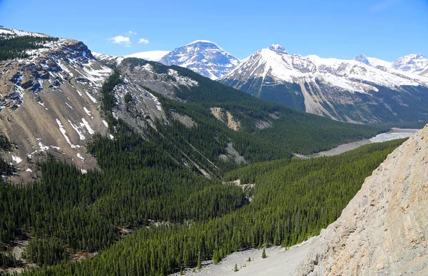 Valle Sunwapta Parque Nacional Jasper Alberta Canadá —  Fotos de Stock