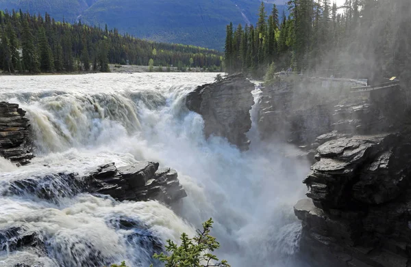 Athabasca Falls Jaspis Nationalpark Alberta Canada — Stockfoto