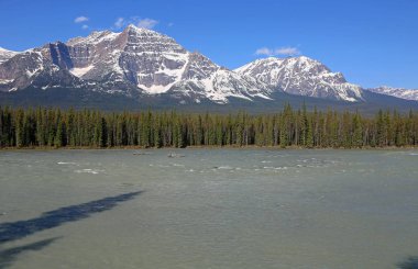 Athabasca Nehri Üzerinde - Jasper Ulusal Parkı, Alberta, Kanada