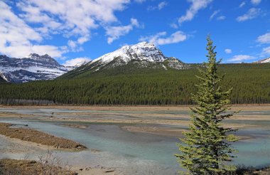 Manzara Sunwapta Nehri vadisinde - Jasper Ulusal Parkı, Alberta, Kanada