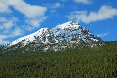 Franchere Peak - Jasper Ulusal Parkı, Alberta, Kanada