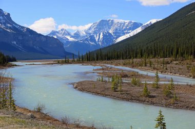 Sunwapta Nehri ve dağlar - Jasper Ulusal Parkı, Alberta, Kanada