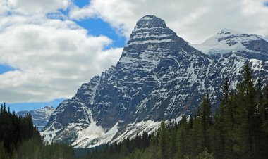 Mt Chephren - Jasper Ulusal Parkı, Alberta, Kanada