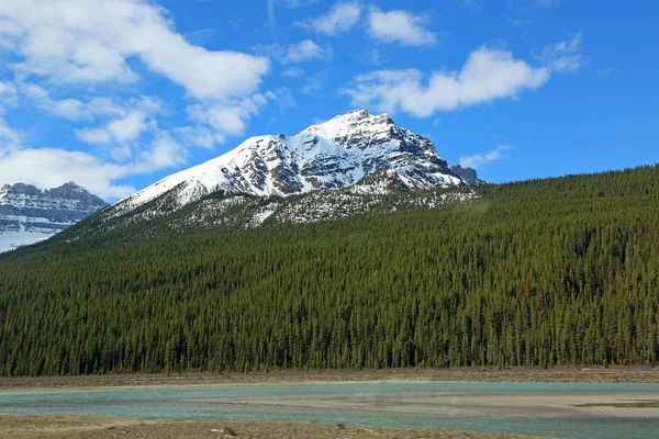 Valle Del Río Sunwapta Parque Nacional Jasper Alberta Canadá —  Fotos de Stock