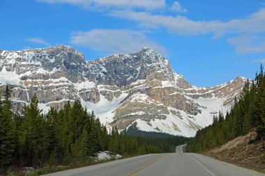 Icefield Parkway ile Peyzaj - Jasper Np, Alberta, Kanada