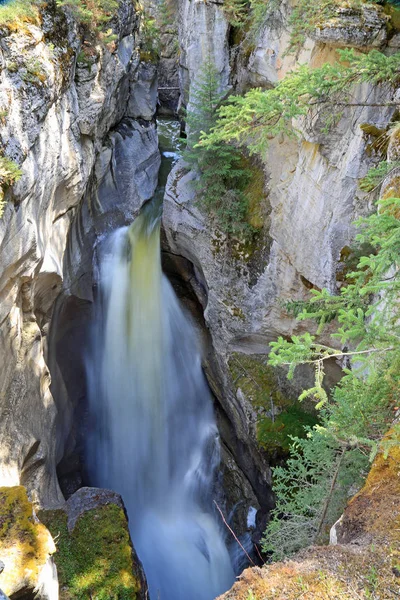 Maligne Canyon Wasserfälle Senkrecht Jaspis Nationalpark Alberta Canada — Stockfoto