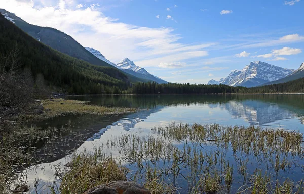 Waterfowl Lakes valley - Jasper National Park, Alberta, Canada